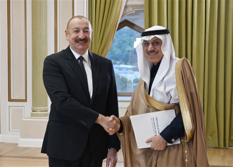 Президент принял делегацию руководителей организаций-членов Арабской координационной группы - ФОТО