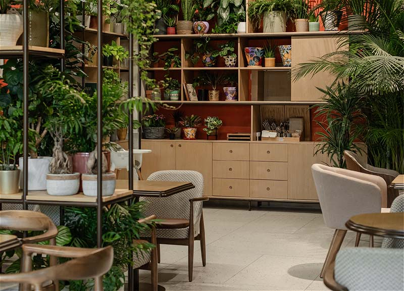 Cafe Botanist: концептуальное кафе в Баку, ориентированное на природу - ФОТО