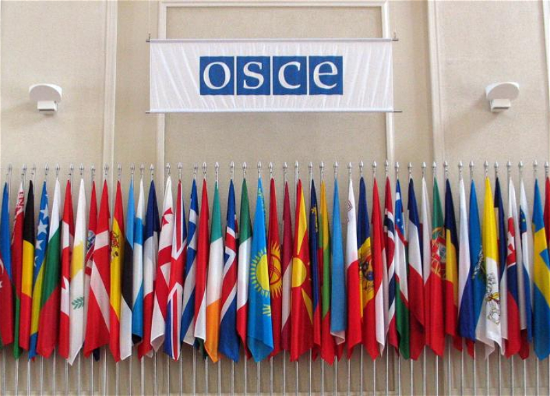 ОБСЕ готова выполнить возложенные на нее задачи в рамках своего мандата для реализации Совместной декларации