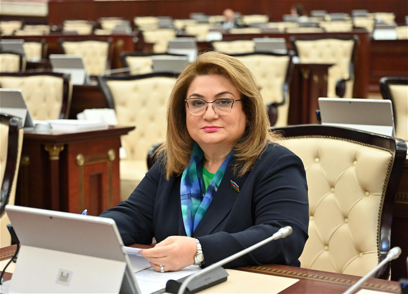 Хиджран Гусейнова награждена орденом «За службу Отечеству»