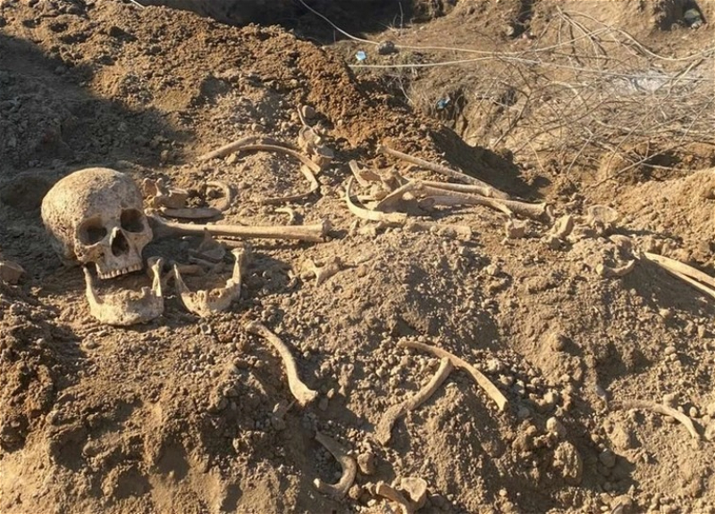 В Губе обнаружены человеческие останки - ФОТО