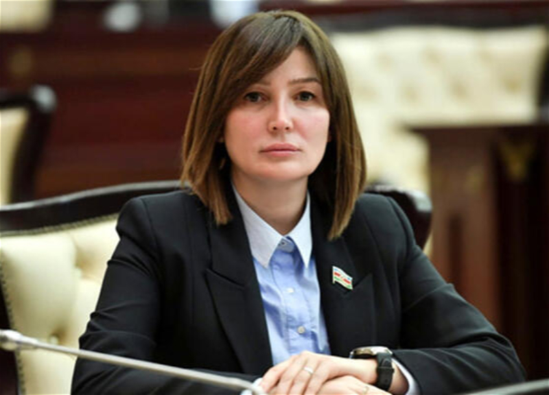 Руководство Всемирной федерации Алпагут подало в отставку: Жаля Ахмедова сложила с себя полномочия