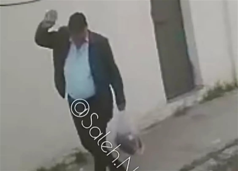 В Баку мужчина ударил камнем спящую собаку – ВИДЕО