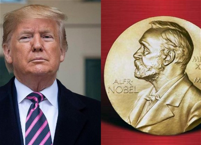 США и Израиль собирают подписи для выдвижения Трампа на Нобелевскую премию мира