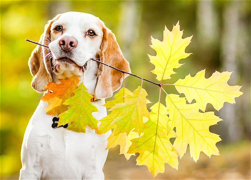 Прогноз синоптиков: чего ждать от погоды завтра