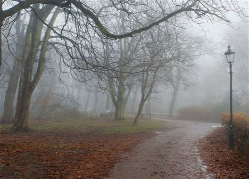 Из-за тумана в некоторых районах снизится видимость на дорогах