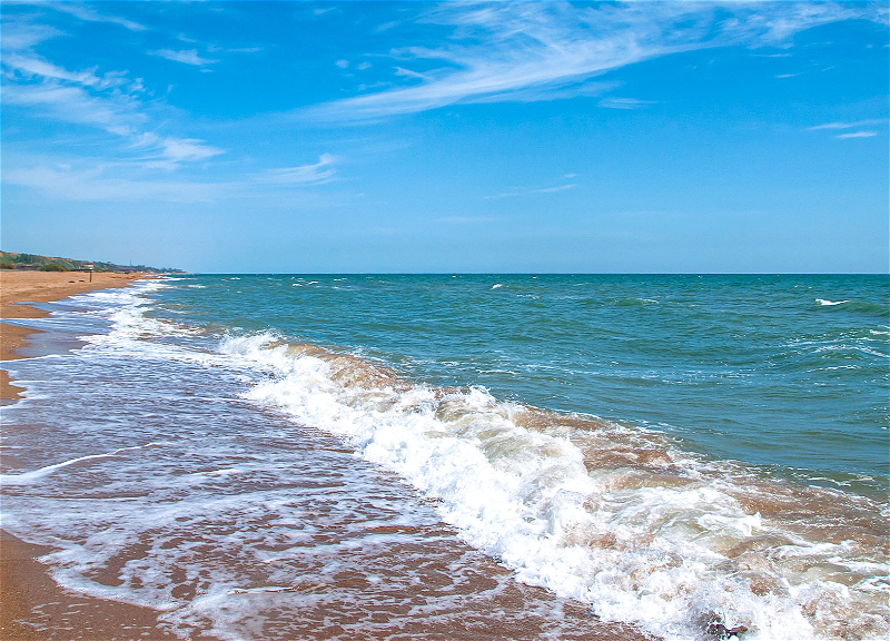 В ММ призвали выделить дополнительные финансы на спасение Каспия от экологической катастрофы