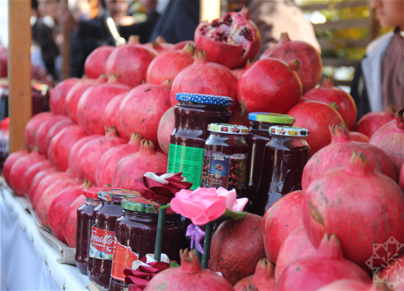 В Гейчае прошёл традиционный «Фестиваль граната» - ФОТО
