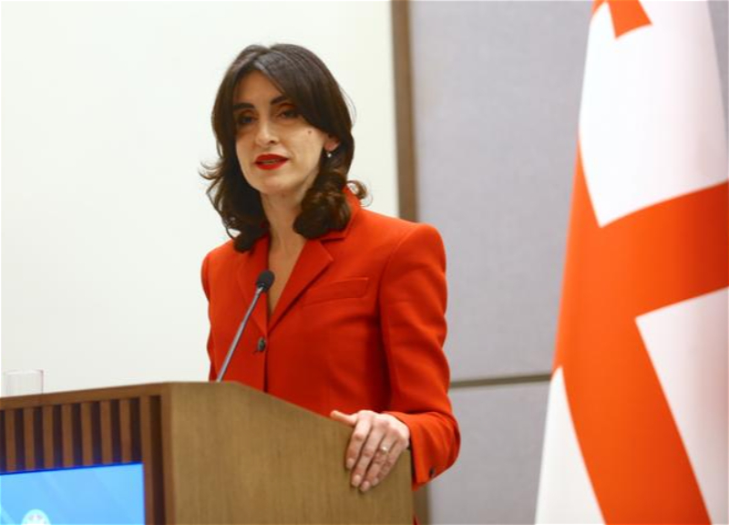 Глава МИД: тупик в отношениях с Грузией - результат решений ЕС