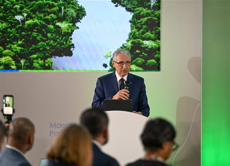 COP30: Президент COP29 призвал к достижению цели по климатическому финансированию в $1,3 трлн - ФОТО