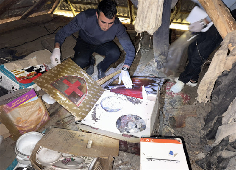 AQTA и жители Балакена совместно уничтожают вредителей - ФОТО