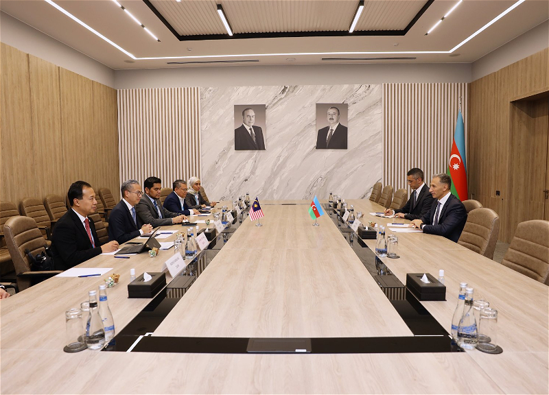 Азербайджан и Пакистан создадут рабочую группу в области ИКТ