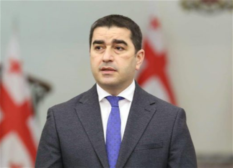 Спикер парламента Грузии: Украина не может ни продолжать, ни закончить конфликт