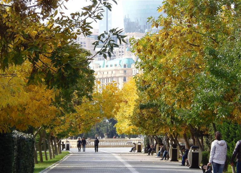 Обнародован прогноз погоды на понедельник