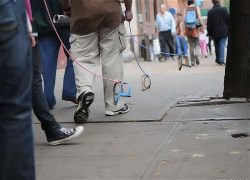 Выгуливая невидимую собаку: «хобби-доггинг» становится глобальным - ФОТО - ВИДЕО