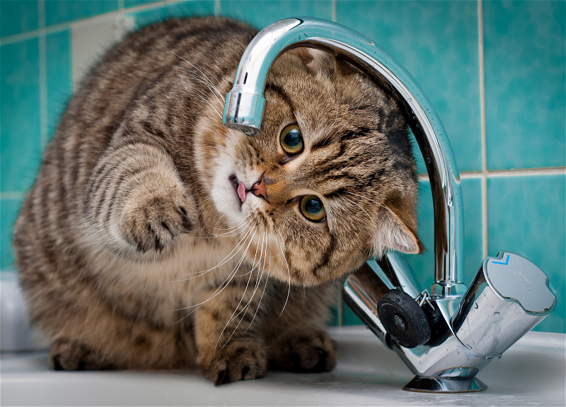 В Баку и на Абшероне ожидаются перебои в водоснабжении в течение 4 дней