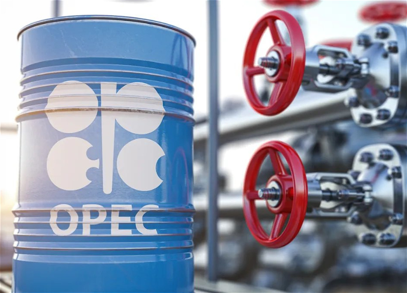 Министерский комитет ОПЕК+ проводит встречу в в формате видеоконференции