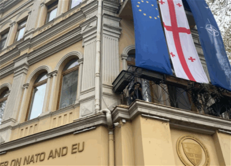 В Грузии учредили партию, выступающую против вступления страны в ЕС и НАТО