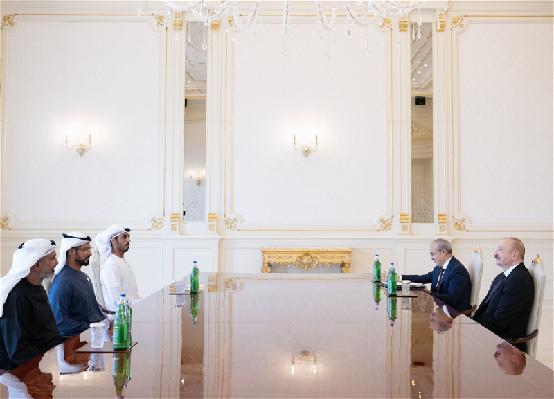 Ильхам Алиев принял руководителей ряда компаний из ОАЭ